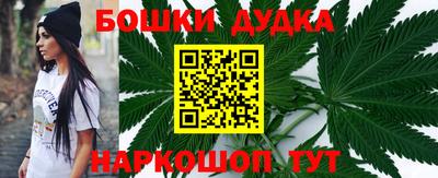 стафф Кингисепп