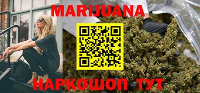 стафф Кингисепп