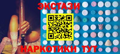 стафф Кингисепп