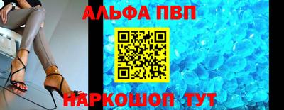 стафф Кингисепп