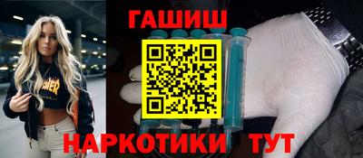 стафф Кингисепп