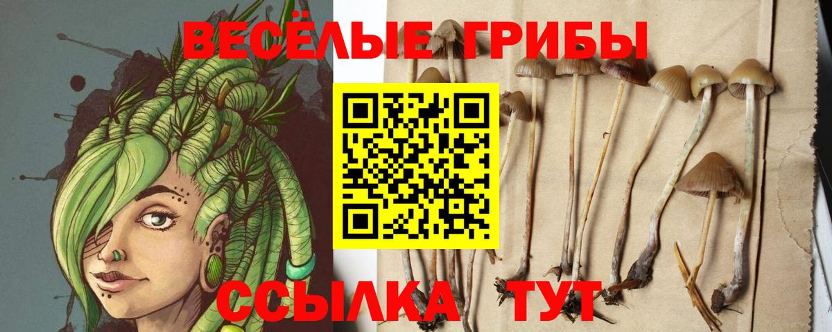 Псилоцибиновые грибы Cubensis Комсомольск-на-Амуре