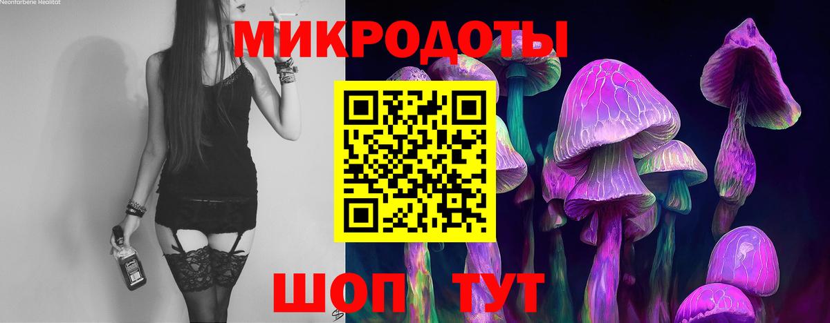 Комсомольск-на-Амуре  Псилоцибиновые грибы Psilocybe  Вход с VPN  Псилоцибиновые грибы мухоморы 